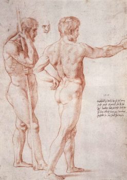 Raphael anatomy study
