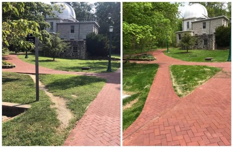 desire path gets paved