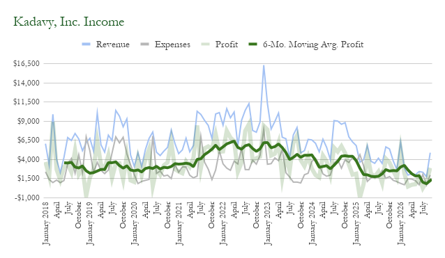 Kadavy, Inc. income chart: revenue, expenses, and profit by month through September 2026